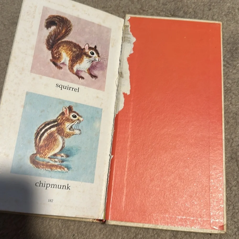 Vintage 1970 I Spy Lucille Ogle Picture Book Hardcover Rare Children’s Book